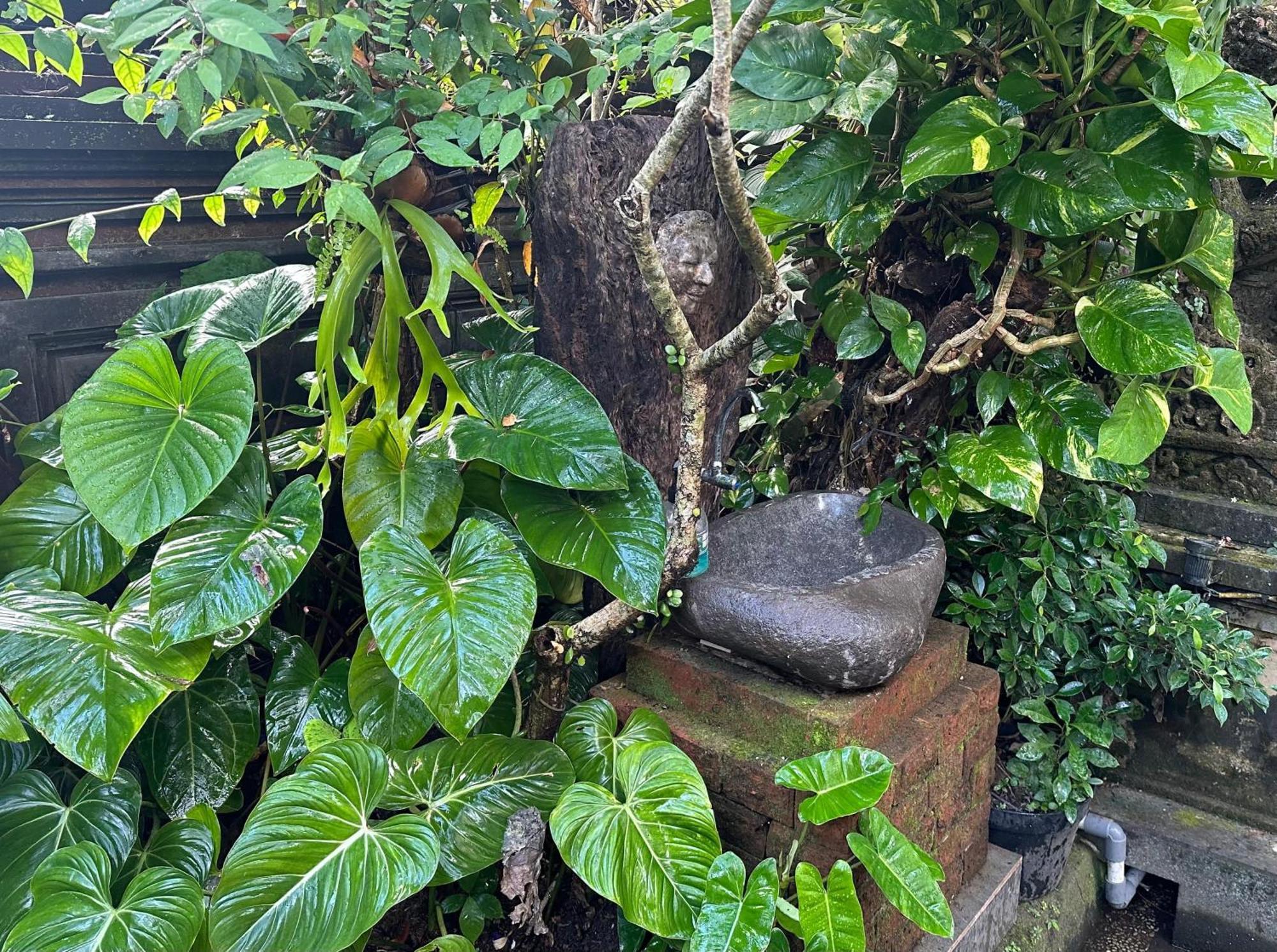Naeera Guest House Ubud Exterior foto