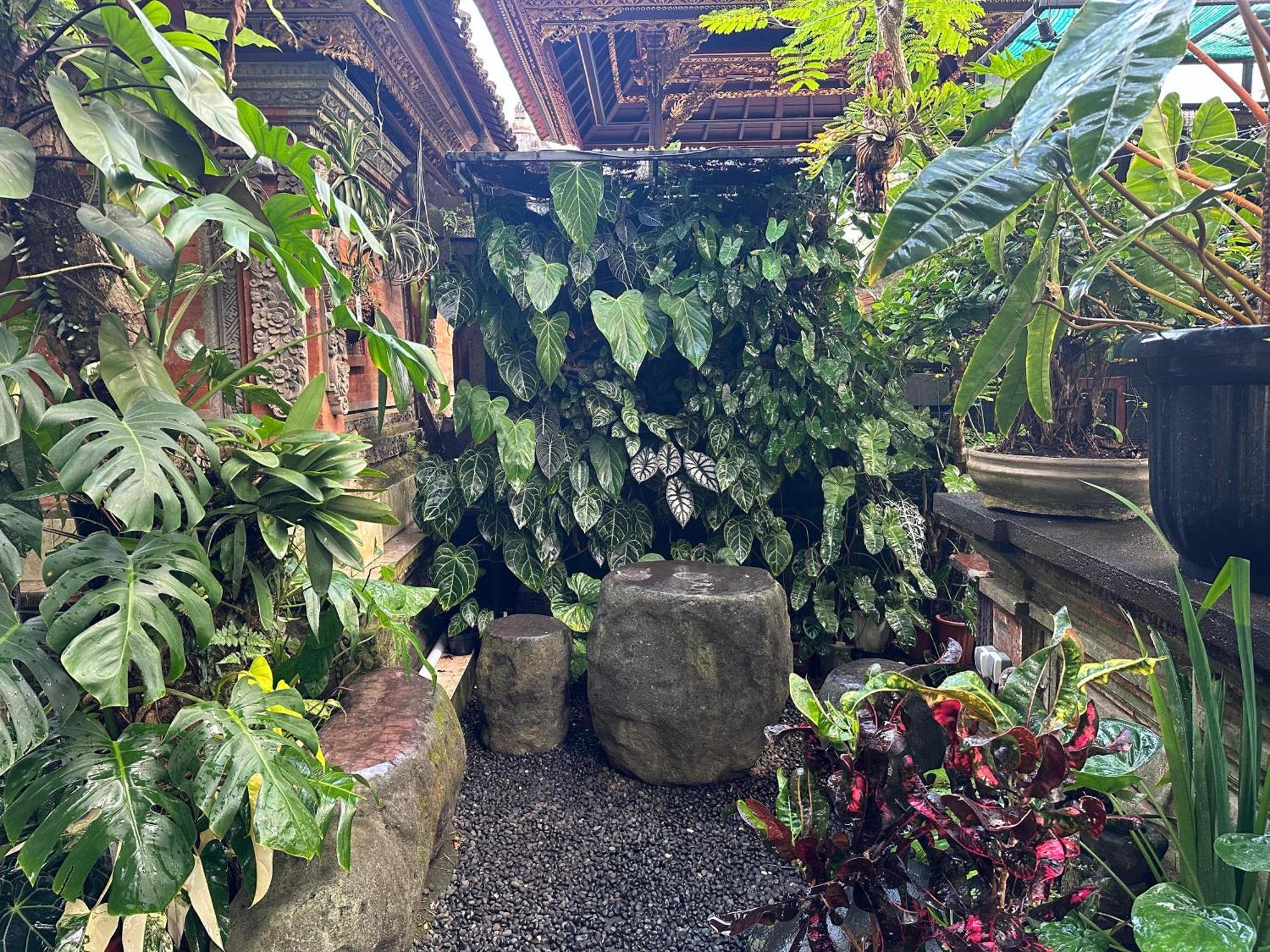 Naeera Guest House Ubud Exterior foto
