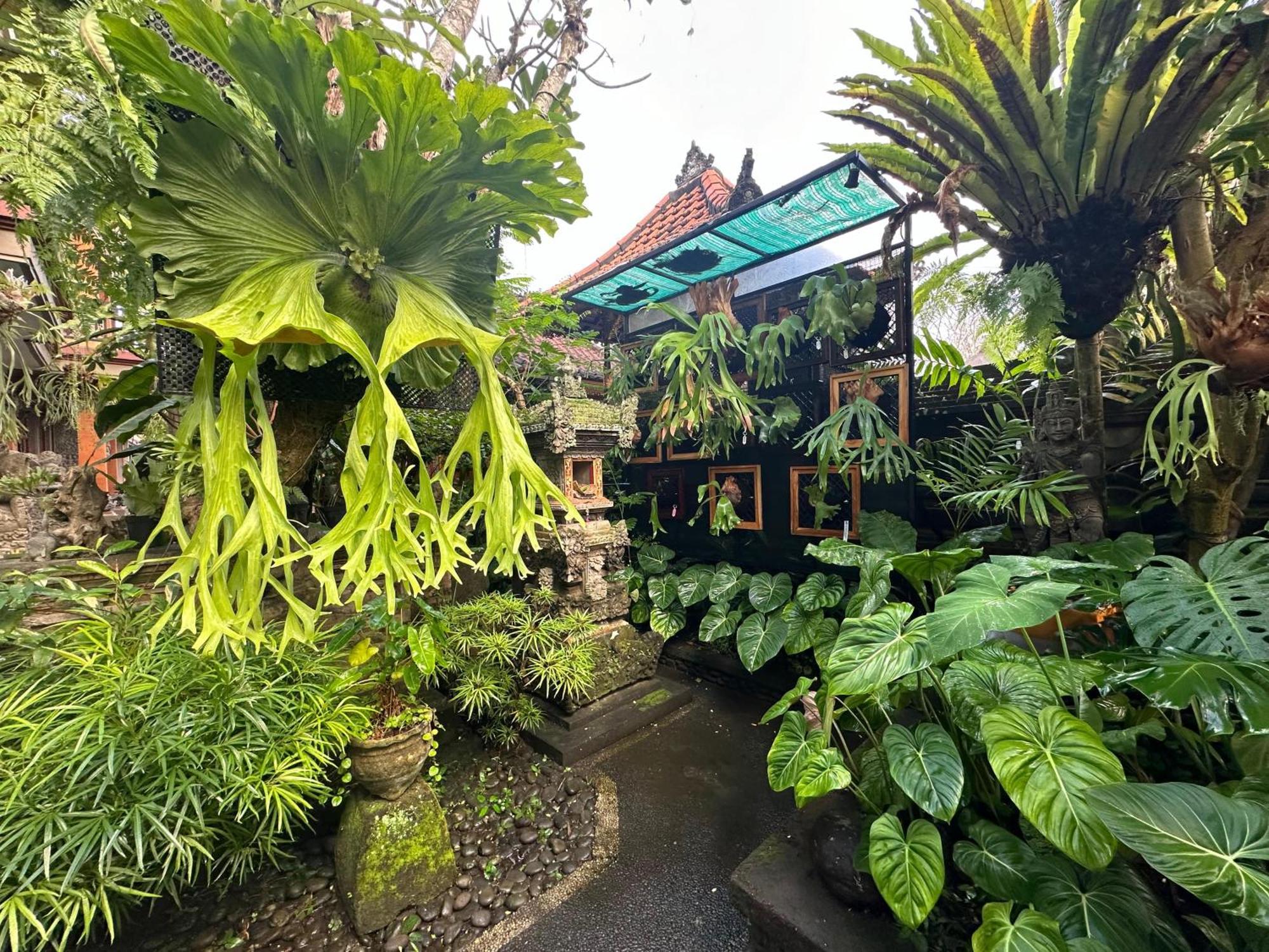 Naeera Guest House Ubud Exterior foto